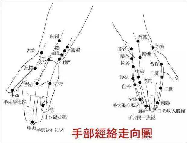 十指雖小遍佈經絡有學問